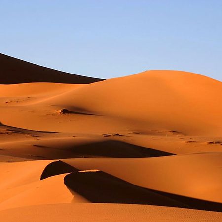 Camp Desert Bivouac Chegaga El Gouera Exteriör bild