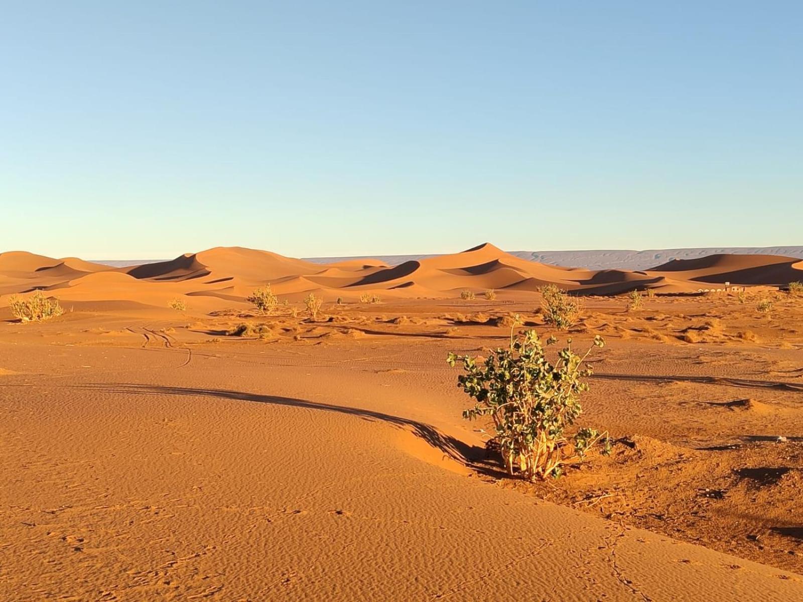 Camp Desert Bivouac Chegaga El Gouera Exteriör bild