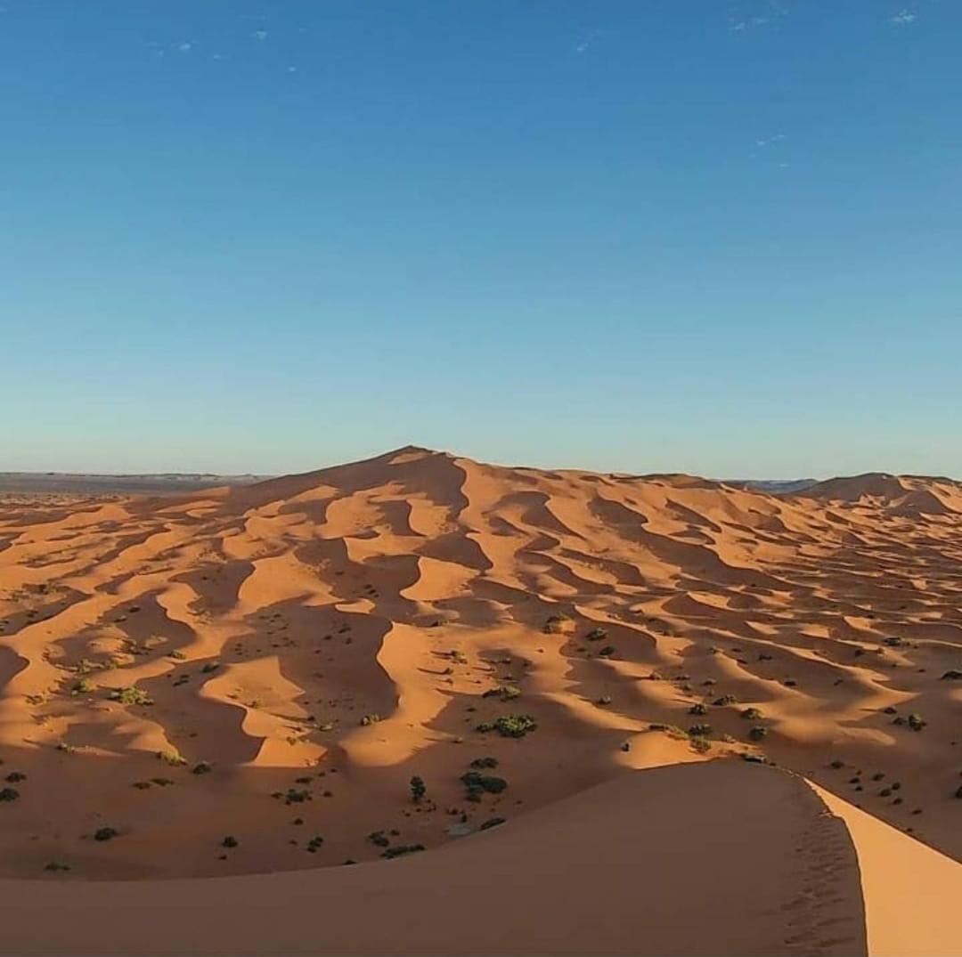 Camp Desert Bivouac Chegaga El Gouera Exteriör bild