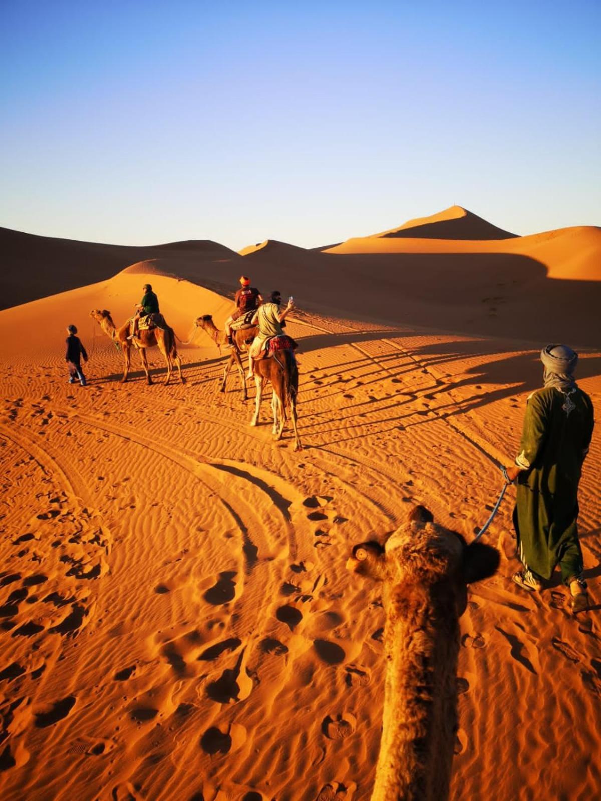 Camp Desert Bivouac Chegaga El Gouera Exteriör bild