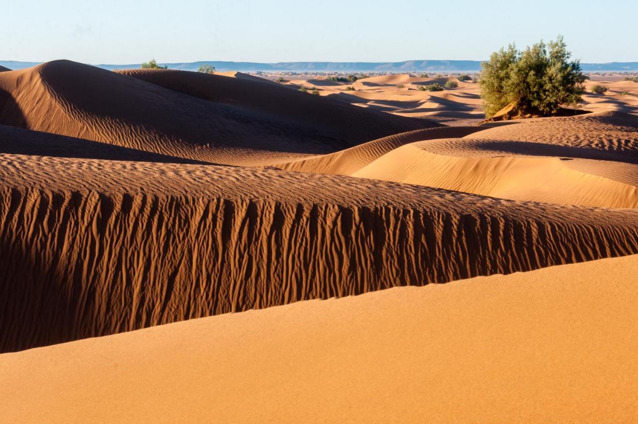 Camp Desert Bivouac Chegaga El Gouera Exteriör bild